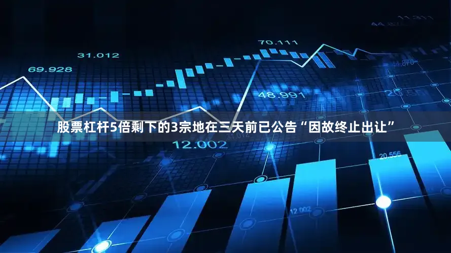 股票杠杆5倍剩下的3宗地在三天前已公告“因故终止出让”