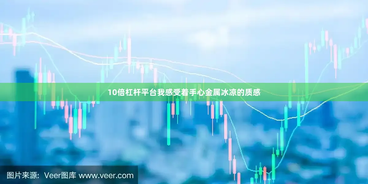 10倍杠杆平台我感受着手心金属冰凉的质感